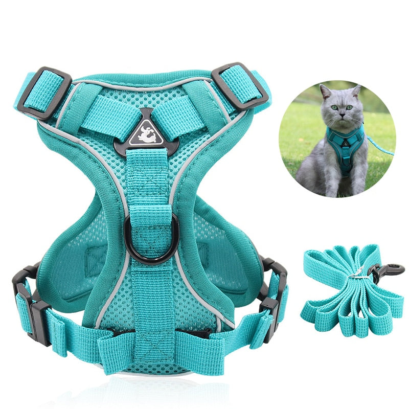 Cat Harness Vest