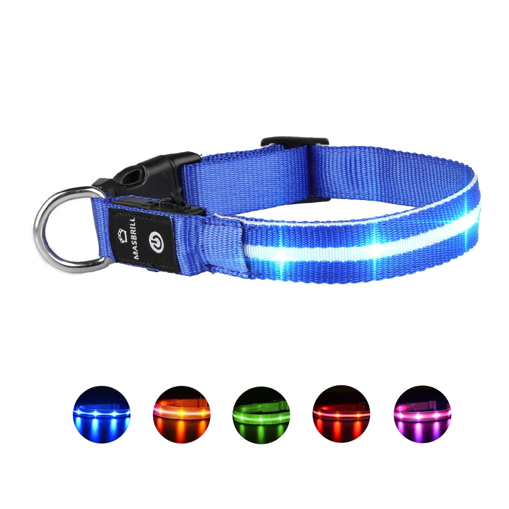 USB Dog LED Glowing Collar