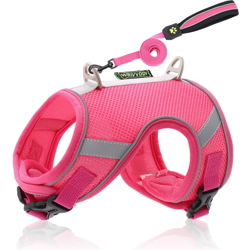 Soft Mesh Cat Leash Harness Set