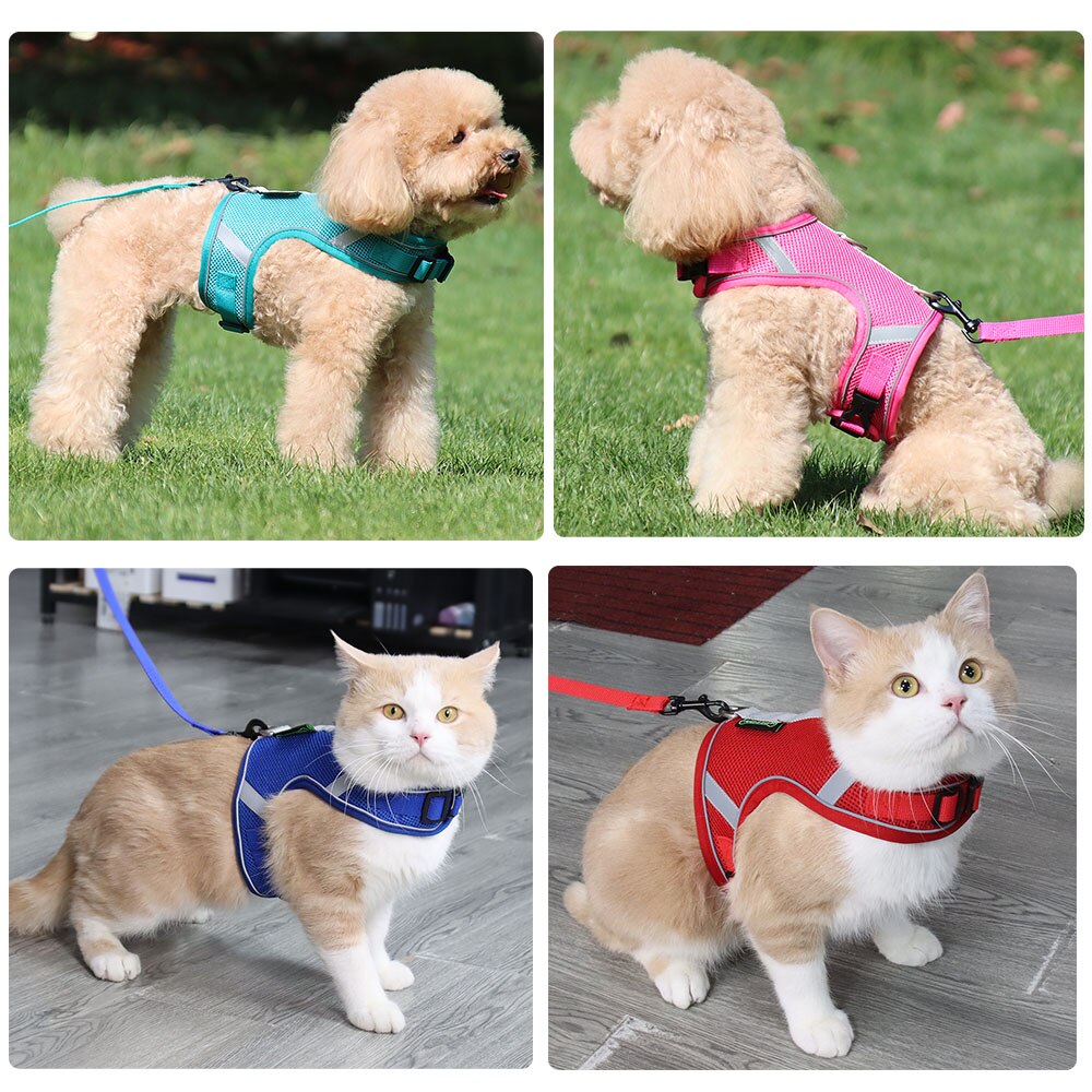 Cat Harness and Leash Set