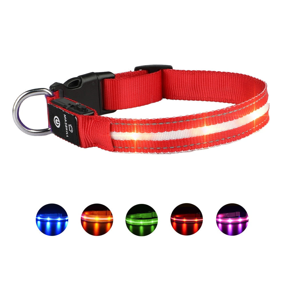 USB Dog LED Glowing Collar