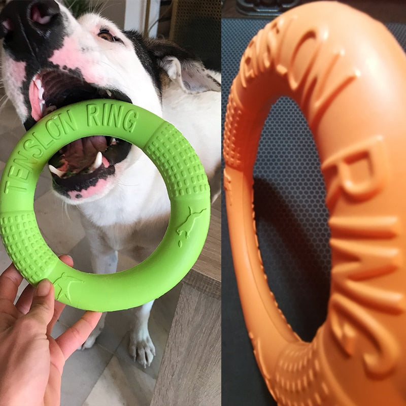 Dogs Training Flying Ring Toy