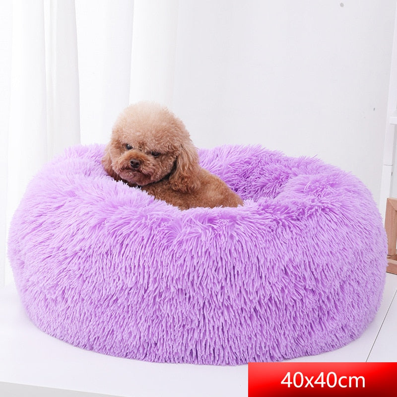 Comfy Calming Dog Bed