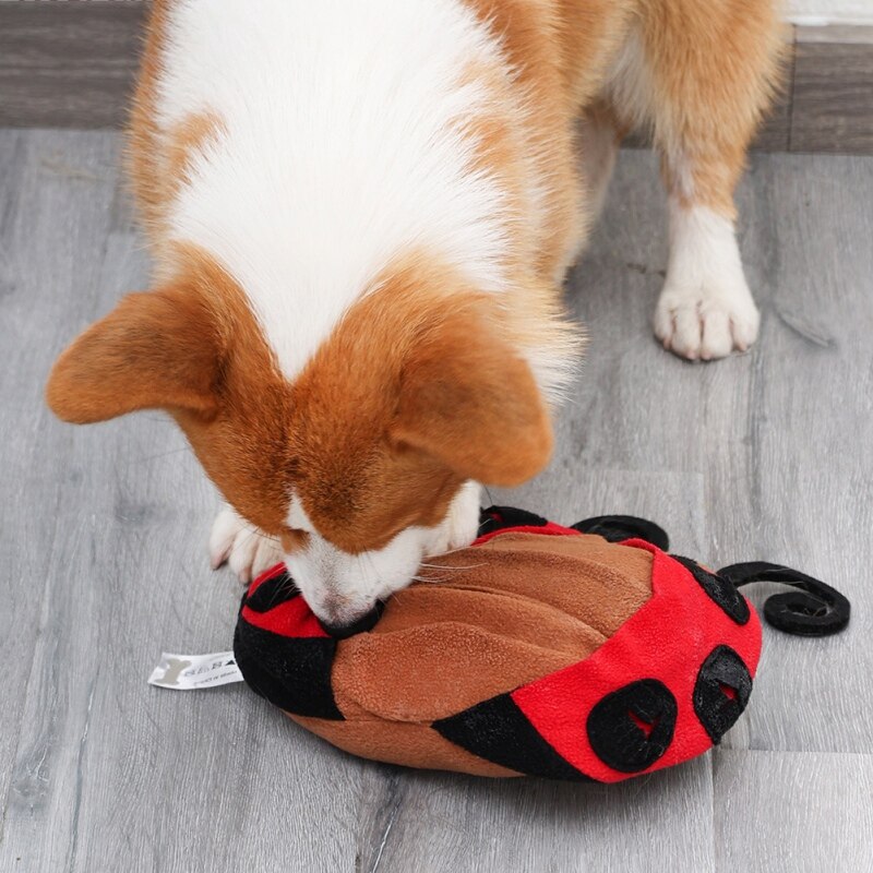 Dog Ladybird Snuffle Mat Toys