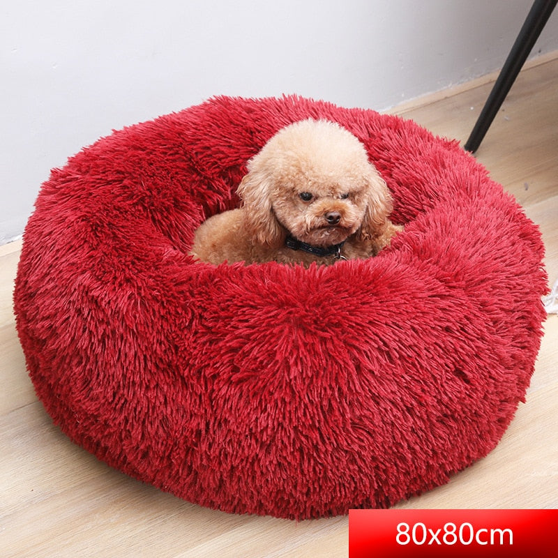 Comfy Calming Dog Bed