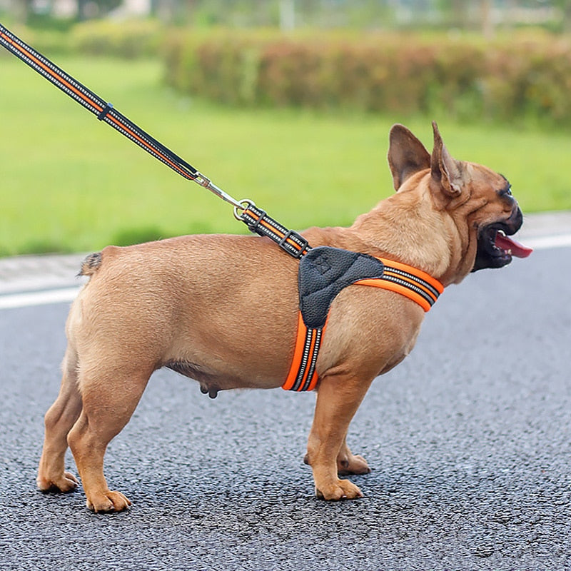 Breathable Nylon Mesh Dog Harness