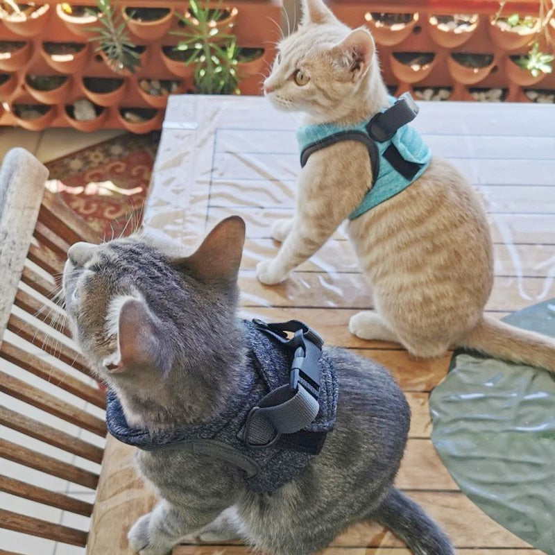 Adjustable Anti-Escape Cat Kitten Harness