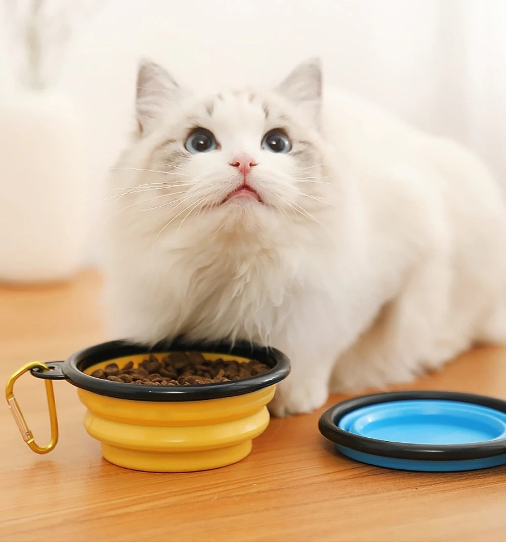 Pet Collapsible Food Container