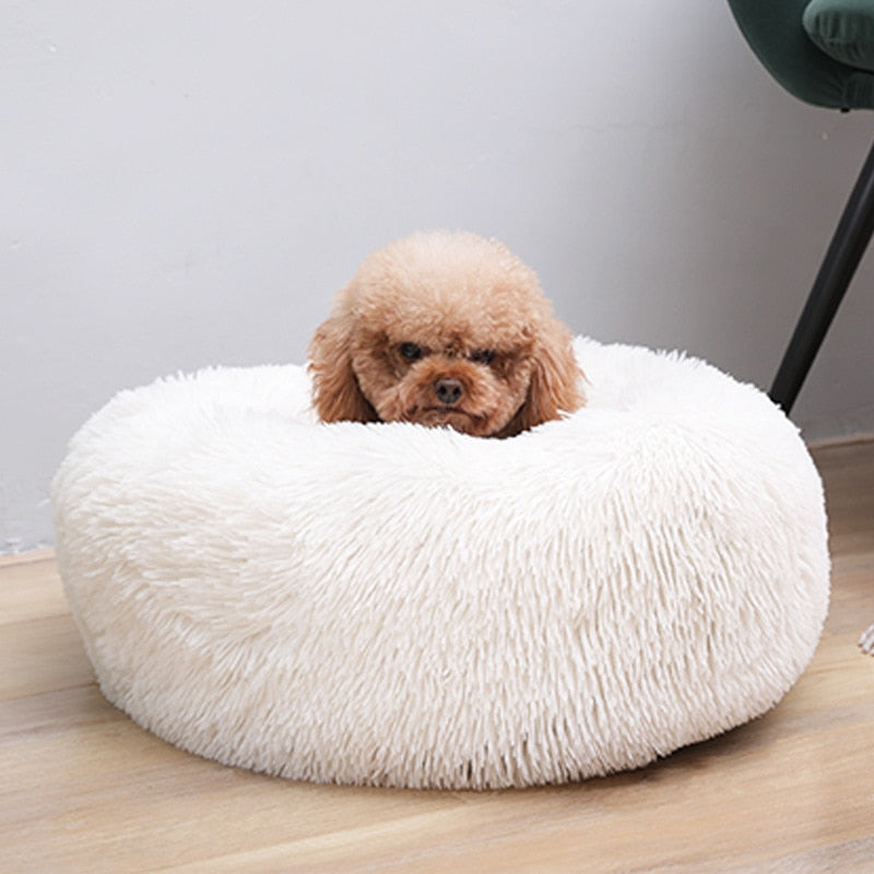 Comfy Calming Dog Bed