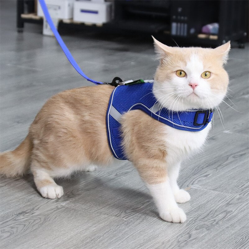 Reflective Cat Harness