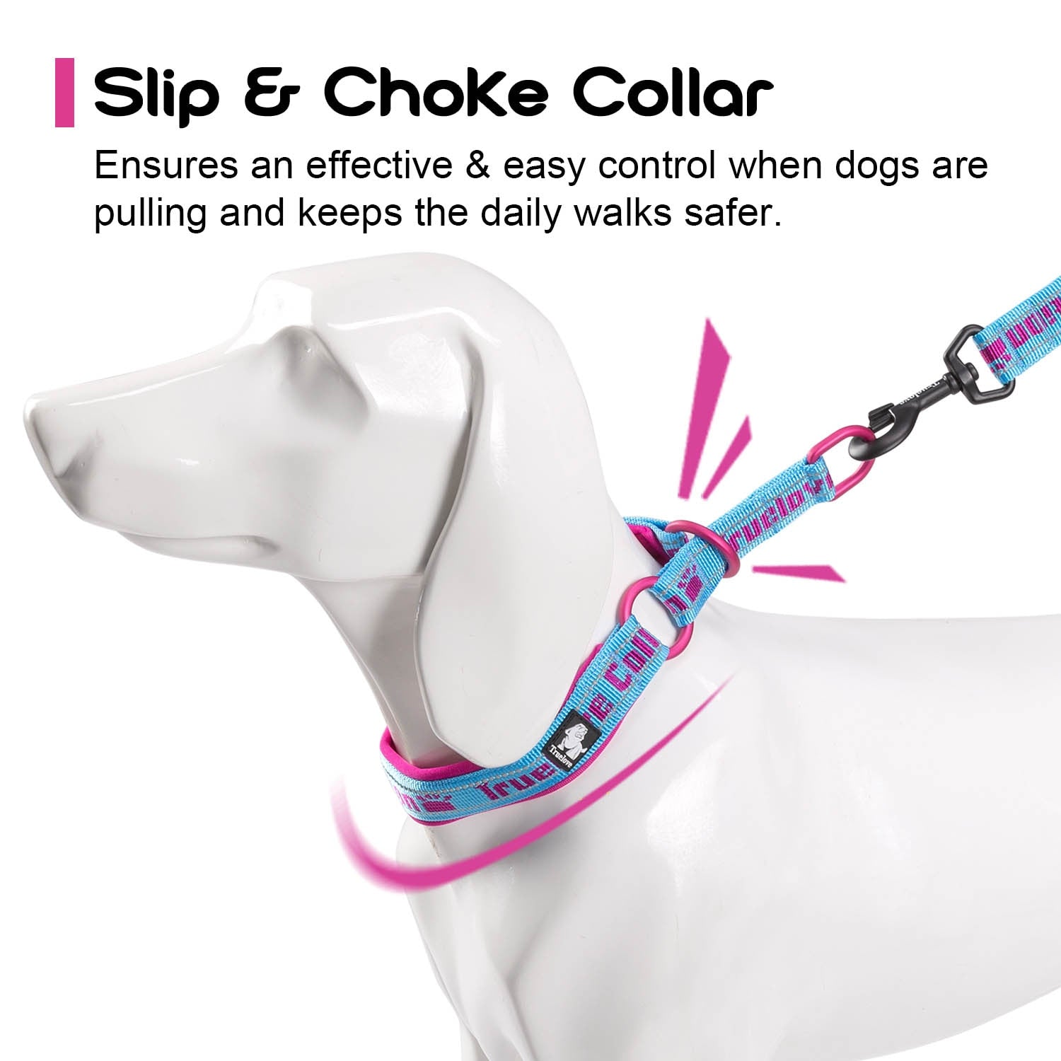 Slip Chain Dog Collar