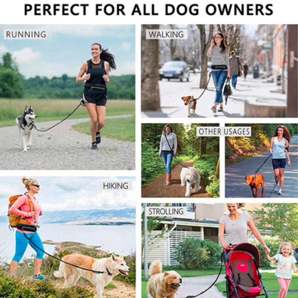 Hands-Free Running Dog Leash