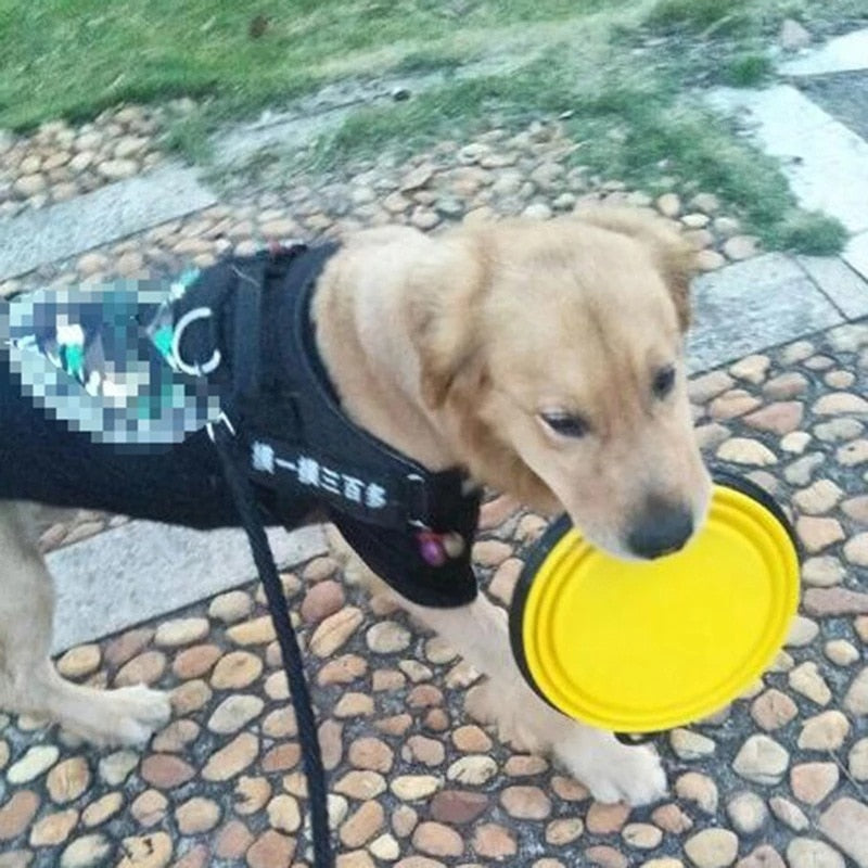 Pet Collapsible Food Container