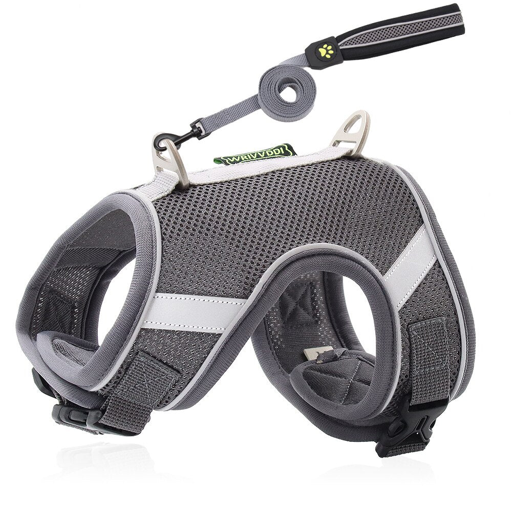 Cat Harness and Leash Set