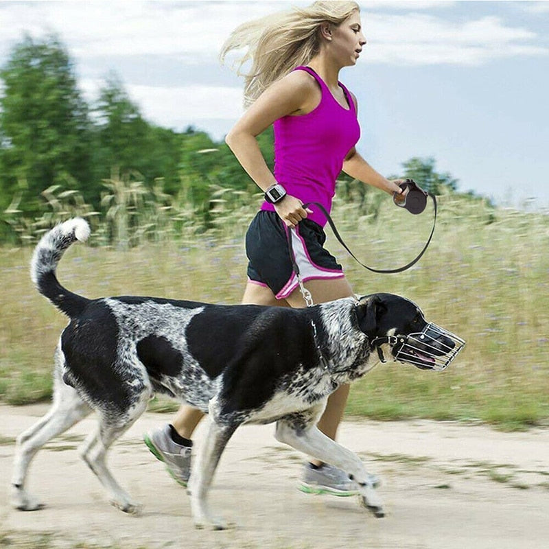 Automatic Retractable Dog Leash