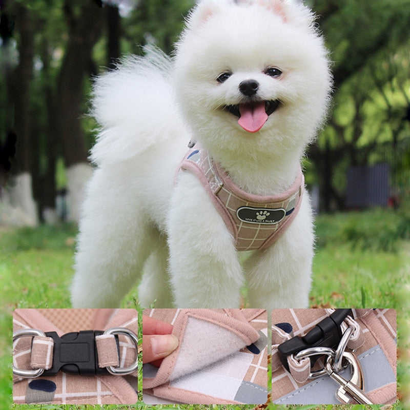 Dogs Harness And Leash Set