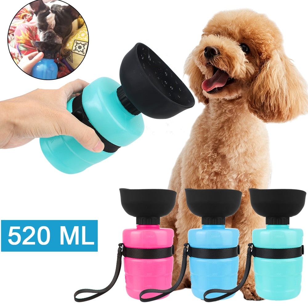 Foldable Dog Water Feeder