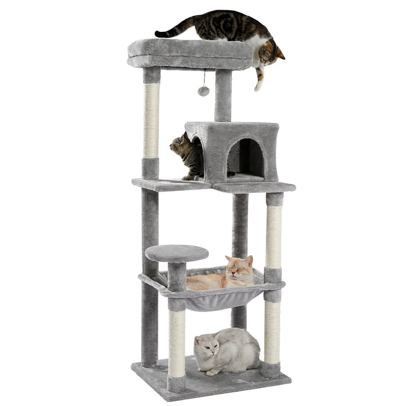 Cat Scratching Climbing Tree