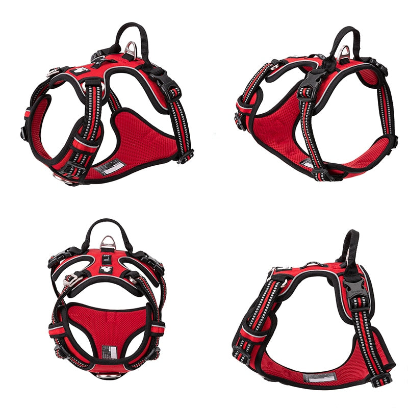 Vehicle Dog Harnesses