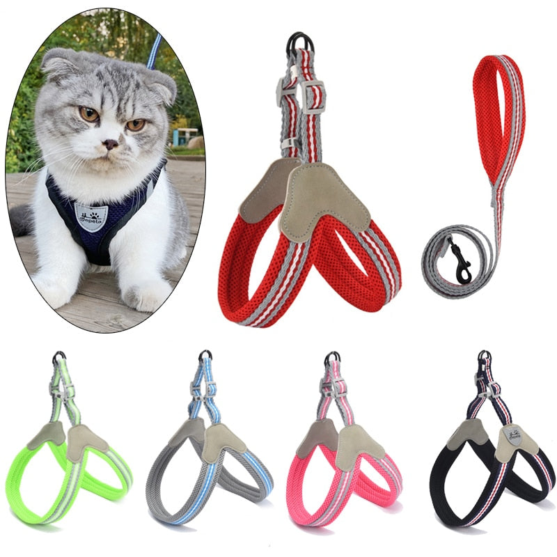 Outdoor Walking Puppy Cat Harnesses