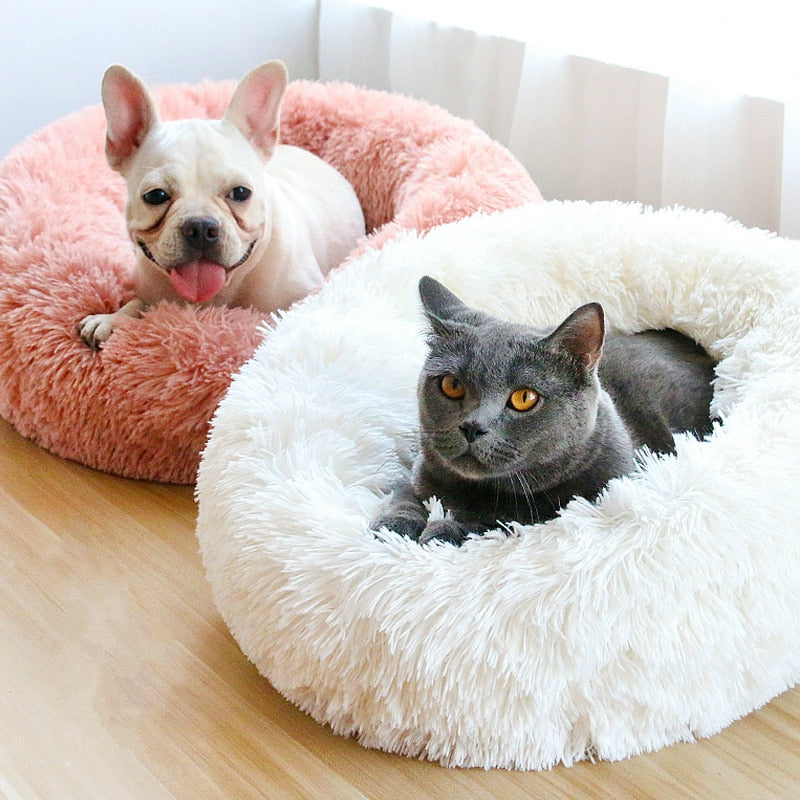 Comfy Calming Dog Bed