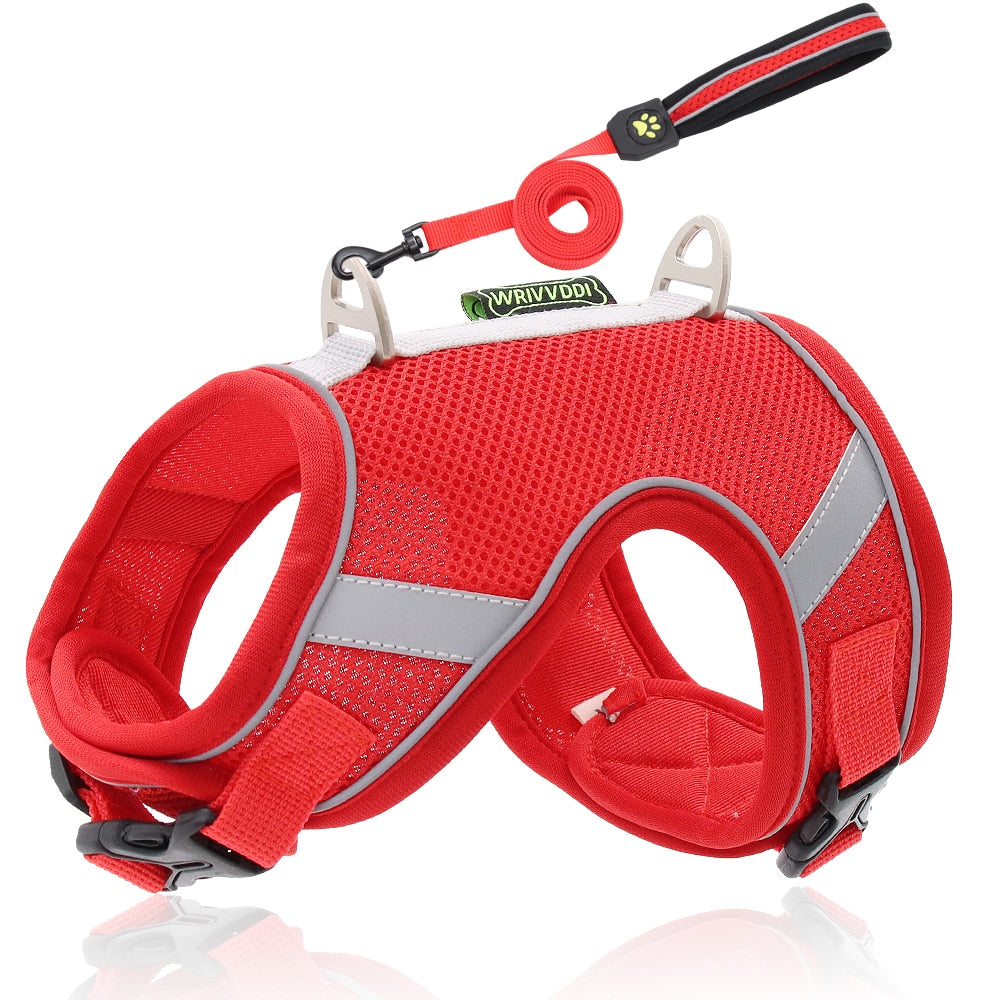 Soft Mesh Cat Leash Harness Set