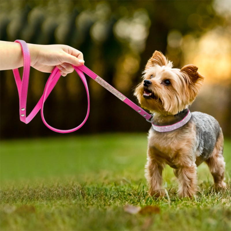 Glitter Rhinestone Pet Collars