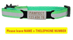 Reflective Cat Safety Buckle Collar