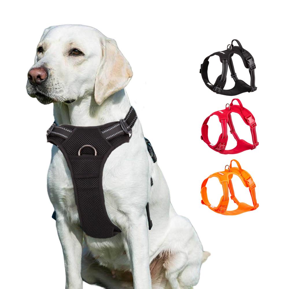 Dog Pitbull Reflective Safety Harness