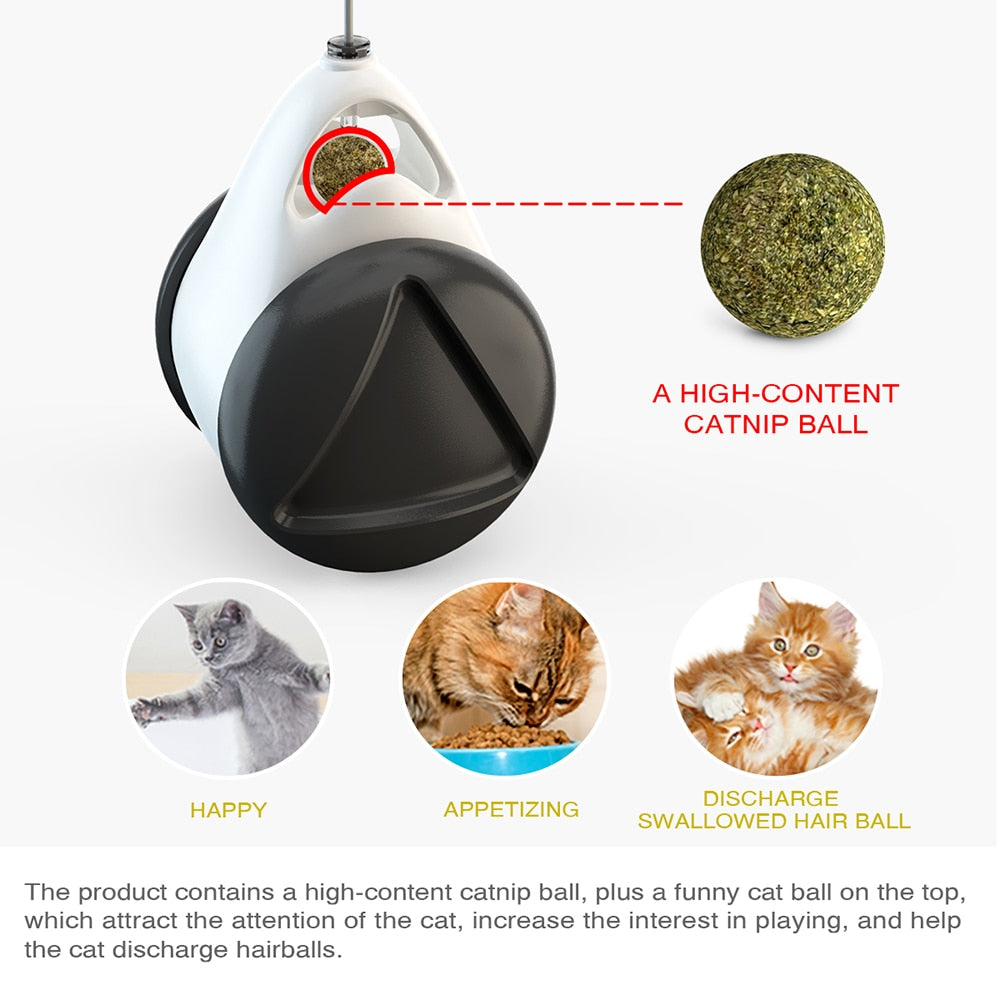 Pet Tumbler Swing Toys