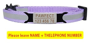 Reflective Cat Safety Buckle Collar