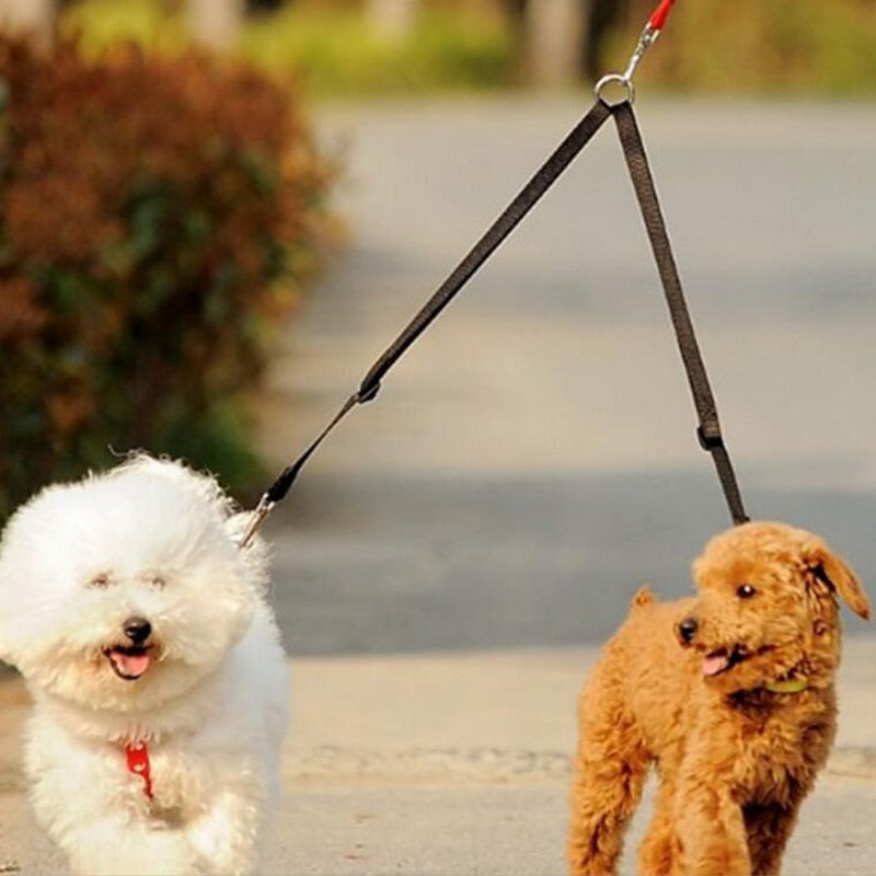 Double Twin Dog Leash