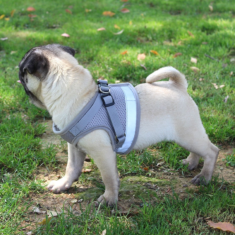 Dog Cat Harnesses Vest