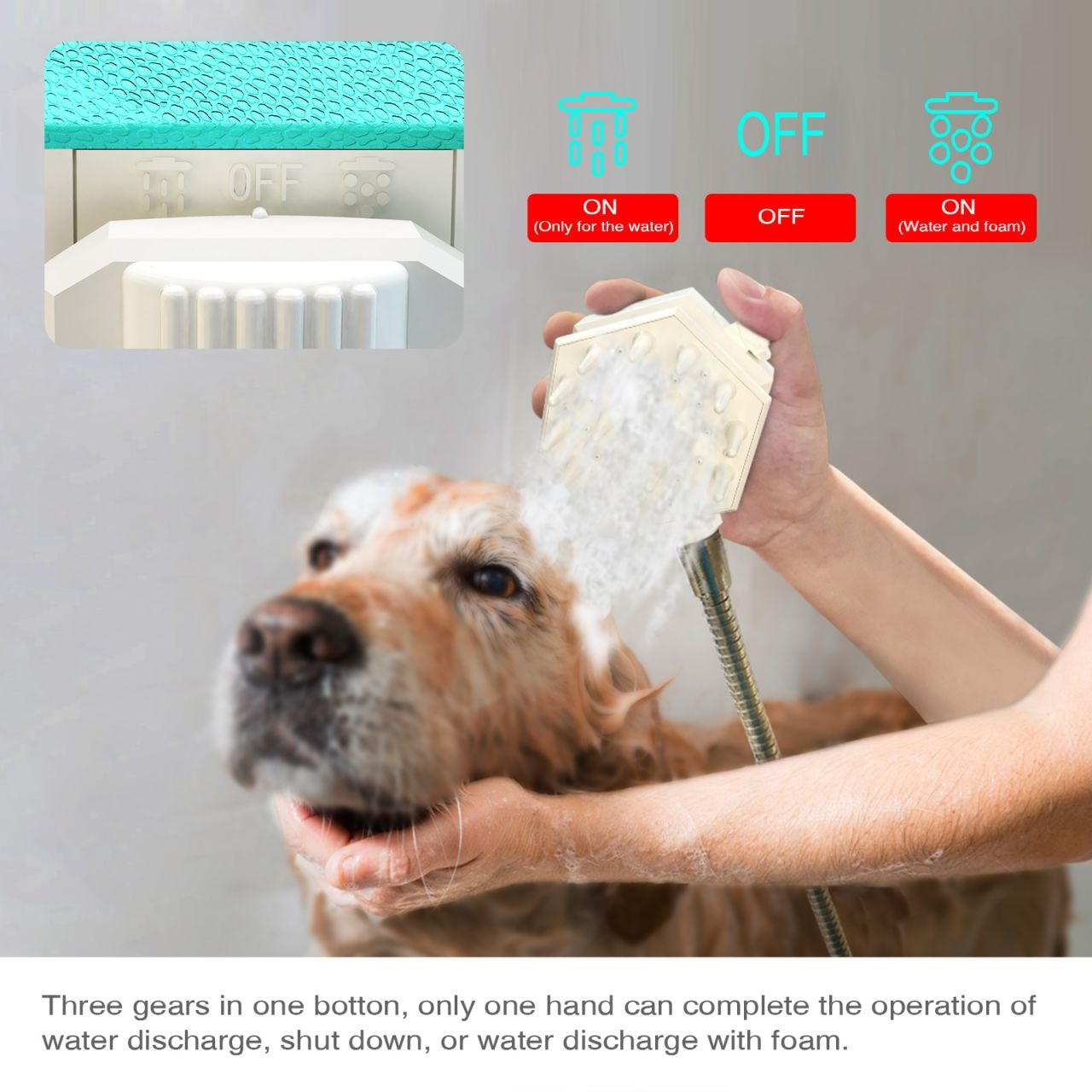 Pet Head Shower Cleaning Brush