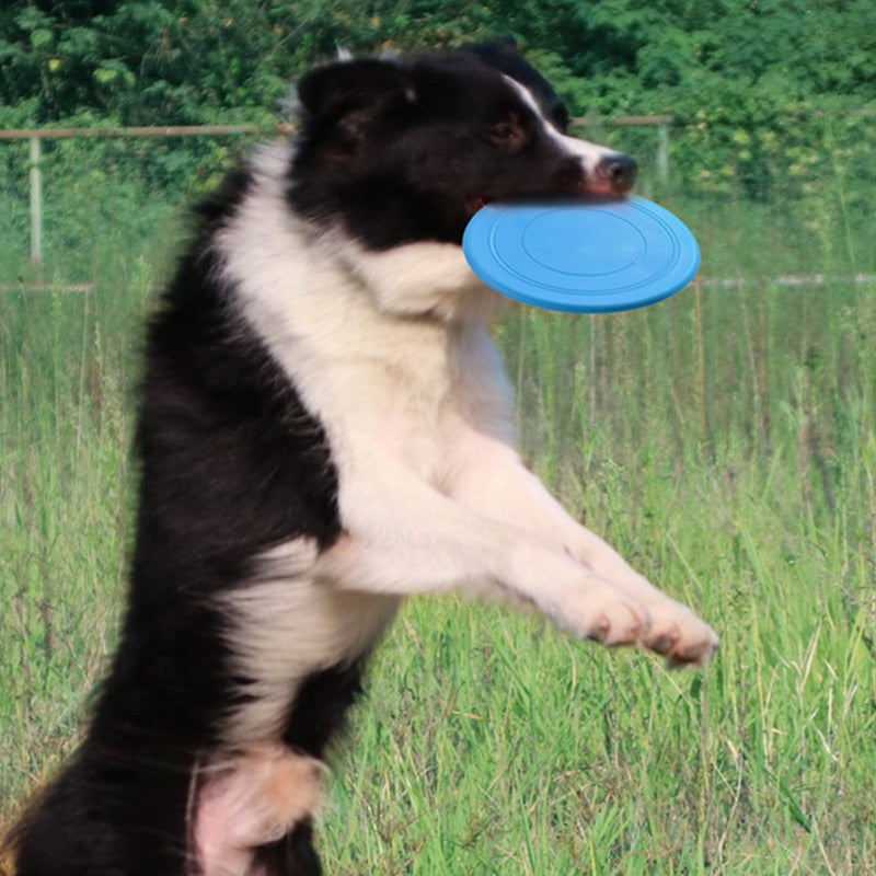 Dog Flying Disk Training Toys