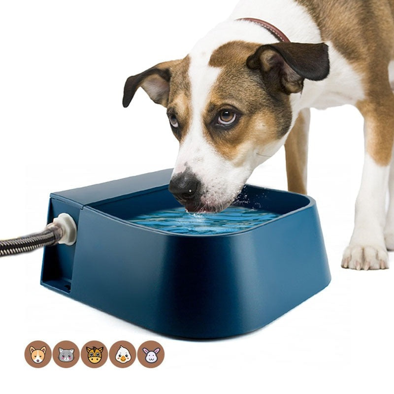 Automatic Pet Water Dispenser Bowl