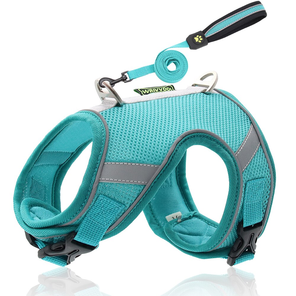 Cat Harness and Leash Set