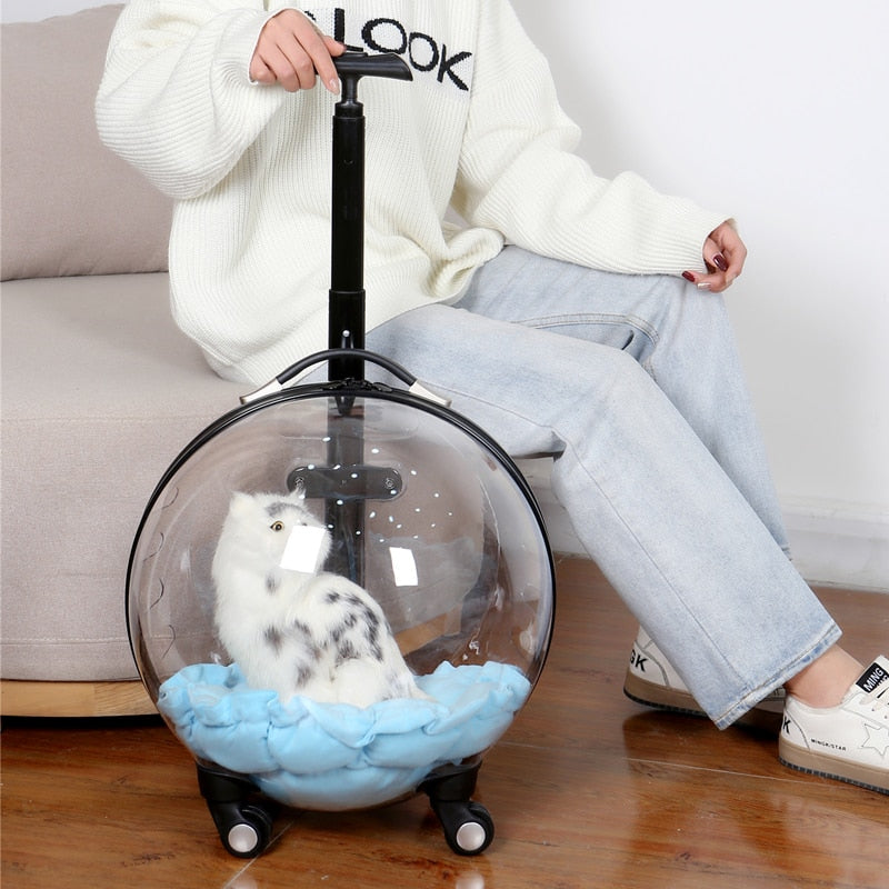 Transparent Capsule Pet Travel Trolley