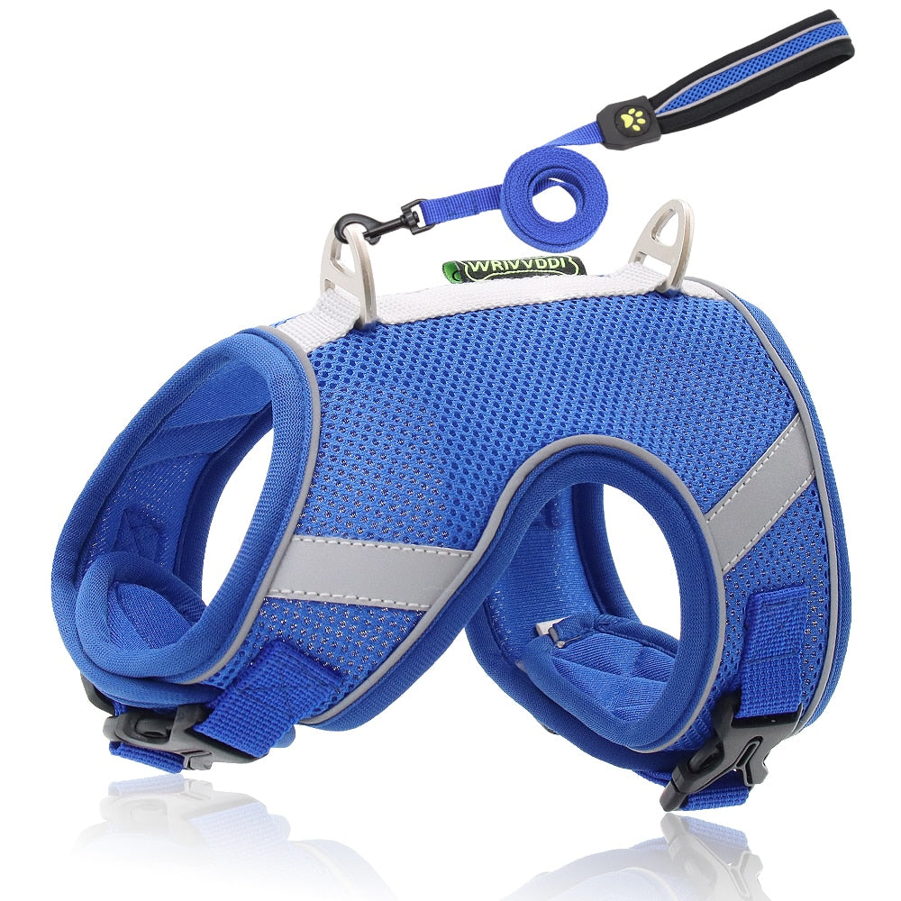 Soft Mesh Cat Leash Harness Set