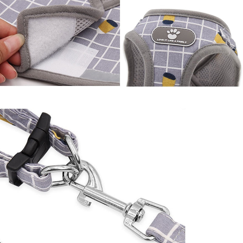 Dogs Harness And Leash Set