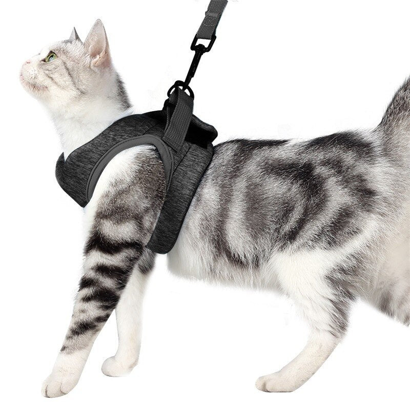 Adjustable Anti-Escape Cat Kitten Harness