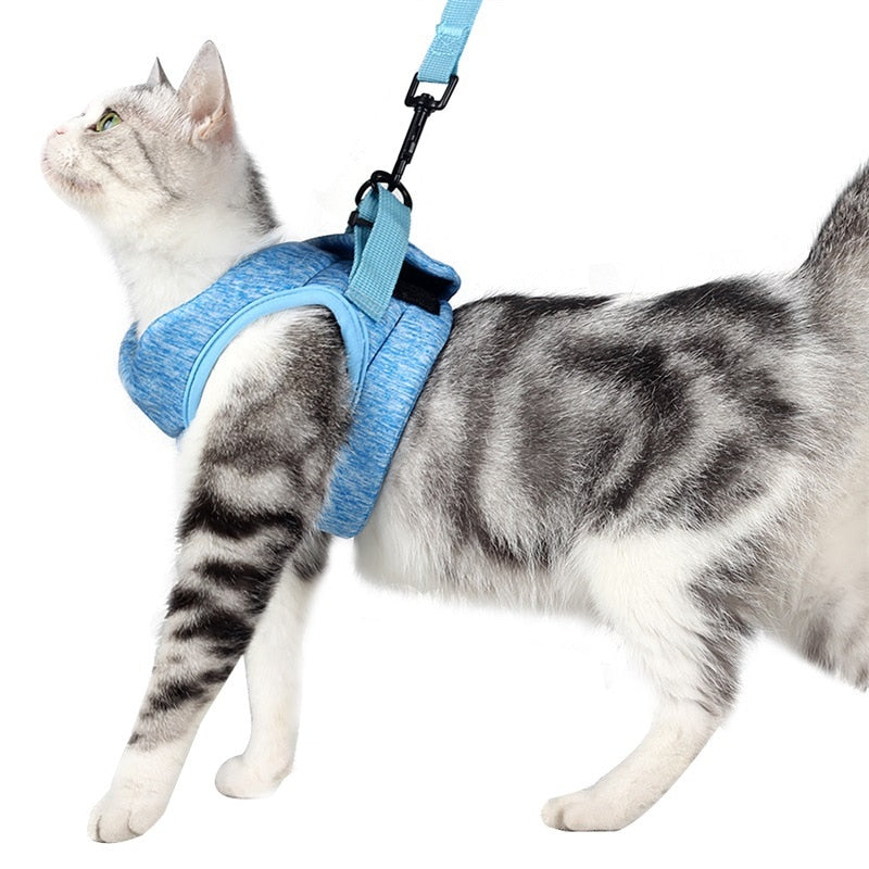 Adjustable Anti-Escape Cat Kitten Harness