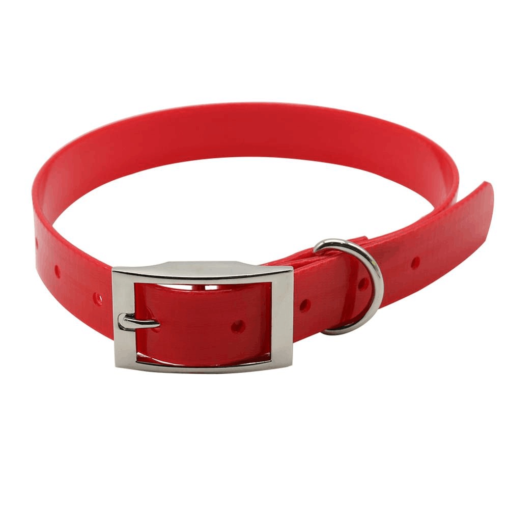 New Fashion Pet Dog Collar