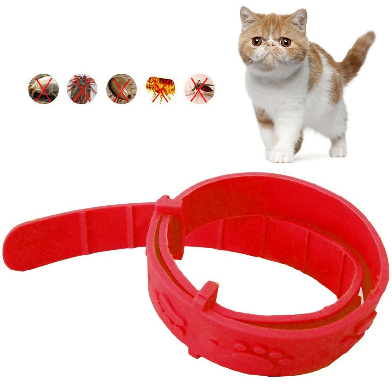 Cat Anti Flea Mite Tick Collar