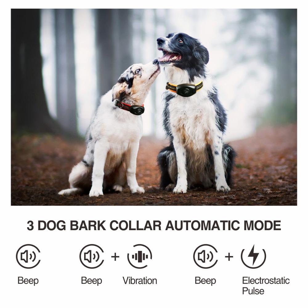 Rechargeable Dog Electric Collar