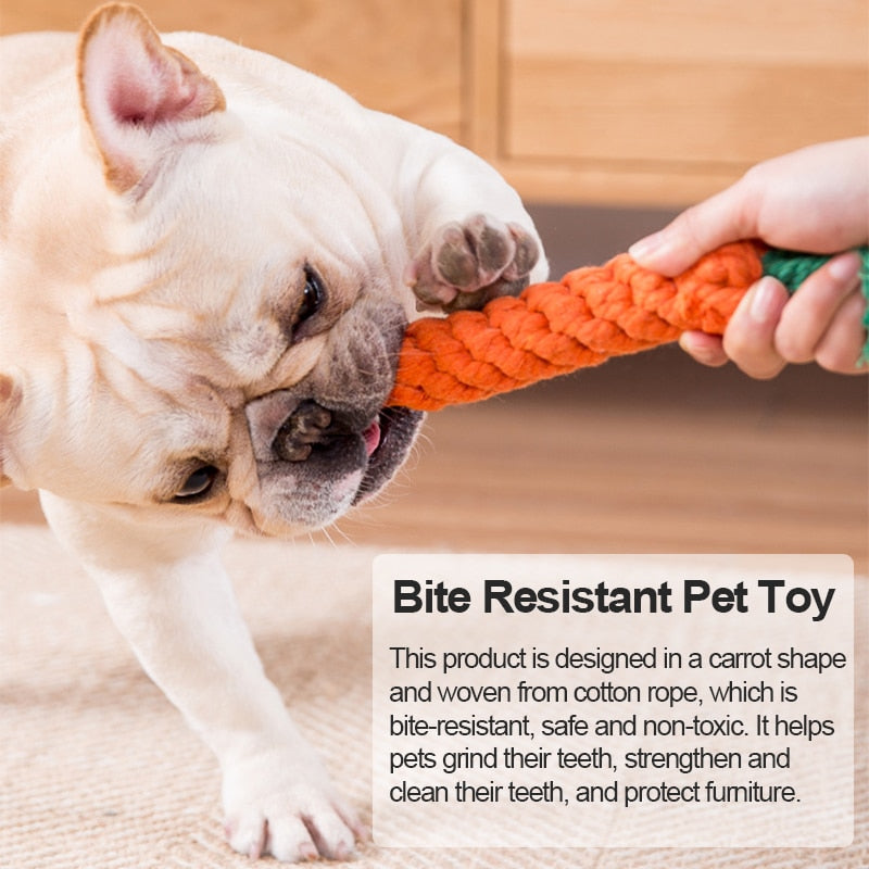 Dog Carrot Bite Resistant Toy