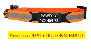 Reflective Cat Safety Buckle Collar