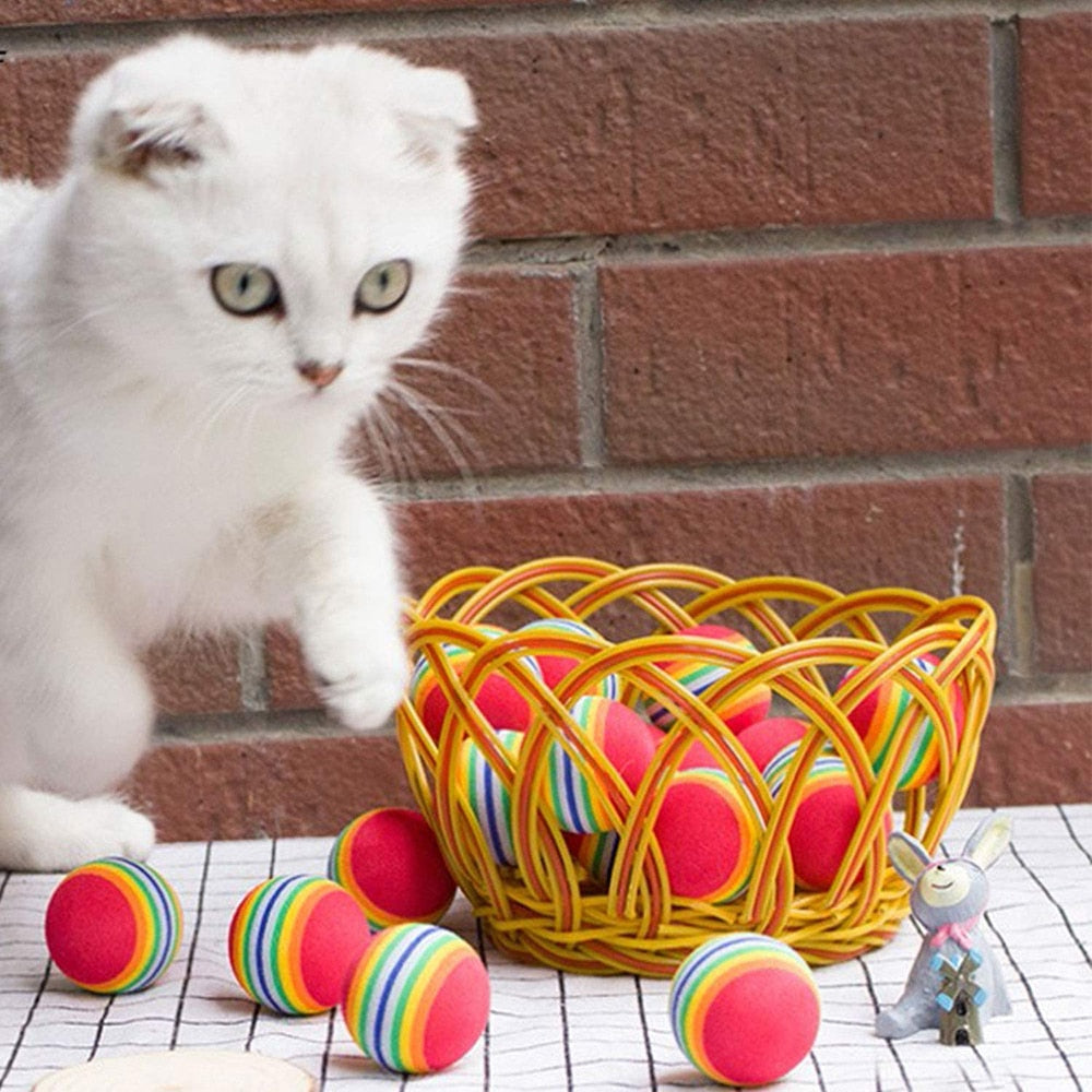 Colorful Pet Foam Balls