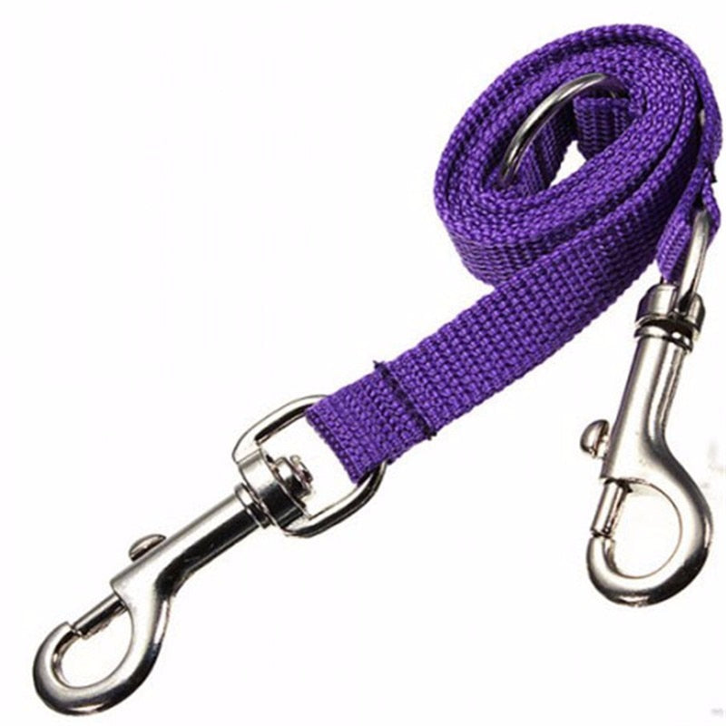 Double Twin Dog Leash