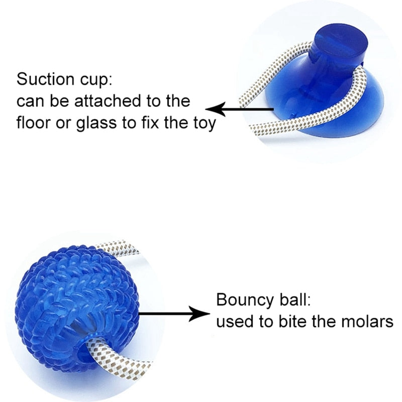 Dog Cup Suction Push Ball Toys